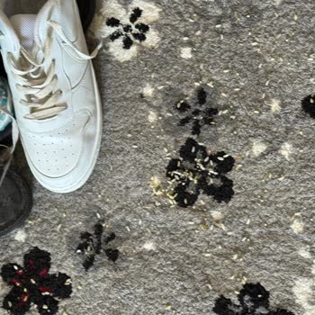 Kargo Taşıma Sırasında Oluşan Hasar Hakkında Tazmin Talebi