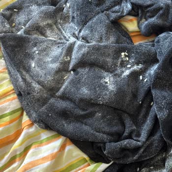 Kargo Taşıma Sırasında Oluşan Hasar Hakkında Tazmin Talebi