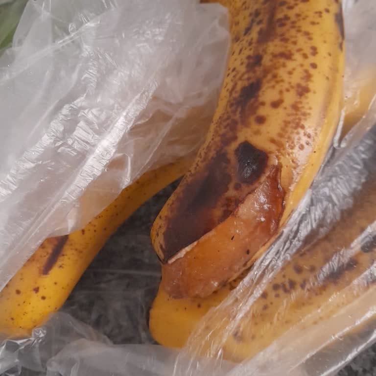 Bozuk Ürün Ve İade Sürecinde İlgisizlik