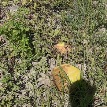 Sel Sonrası Hasar Oranının Düşük Hesaplanması Ve Eksper Raporlarıyla İlgili Mağduriyet