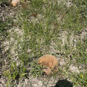 Sel Sonrası Hasar Oranının Düşük Hesaplanması Ve Eksper Raporlarıyla İlgili Mağduriyet