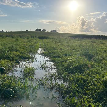 Sel Sonrası Hasar Oranının Düşük Hesaplanması Ve Eksper Raporlarıyla İlgili Mağduriyet