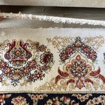 Temiz Otur Koltuk Yıkama Halıya Zarar Verilmesi