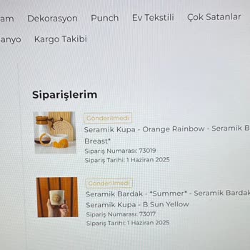 Vinaseramik.com'dan Aldığım Ürünler Teslim Edilmedi, Param İade Edilmiyor