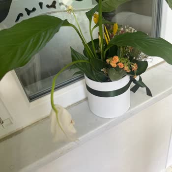 Gönderilen Çiçeğin Solmuş Ve Farklı Olması Nedeniyle Yaşanan Mağduriyet