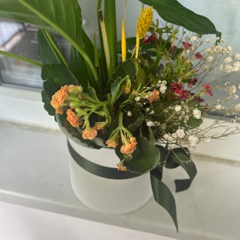 Gönderilen Çiçeğin Solmuş Ve Farklı Olması Nedeniyle Yaşanan Mağduriyet