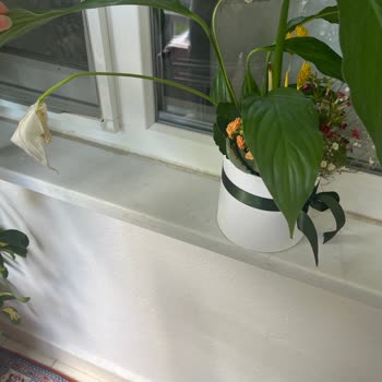 Gönderilen Çiçeğin Solmuş Ve Farklı Olması Nedeniyle Yaşanan Mağduriyet