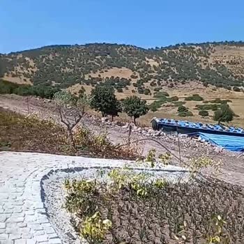 Arsa Nef Dikili Projesinde Teslimat Ve Bilgilendirme Sorunu Yaşıyorum
