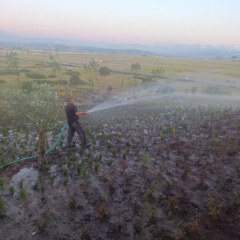 Arsa Nef Dikili Projesinde Teslimat Ve Bilgilendirme Sorunu Yaşıyorum