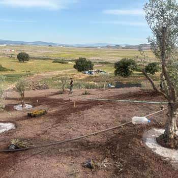 Arsa Nef Dikili Projesinde Teslimat Ve Bilgilendirme Sorunu Yaşıyorum