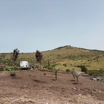 Arsa Nef Dikili Projesinde Teslimat Ve Bilgilendirme Sorunu Yaşıyorum