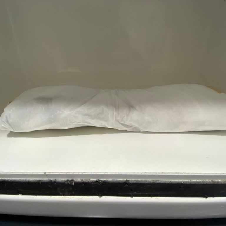 Vfm Veteriner Kliniği Yanlış Tedavi Sonucu Evcil Hayvanımın Kaybı