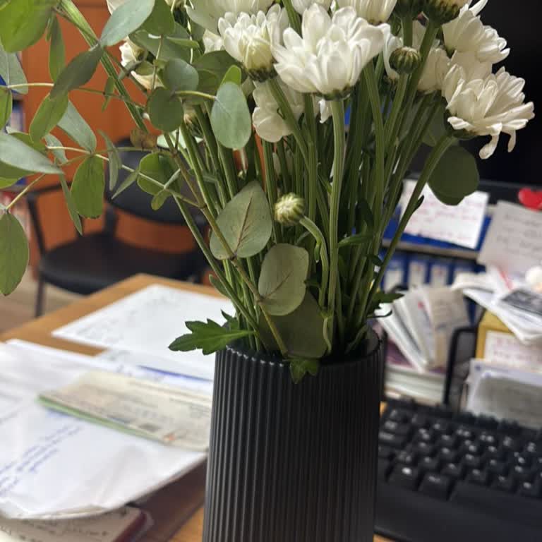 Doğum Günü Sürprizim Hayal Kırıklığına Dönüştü