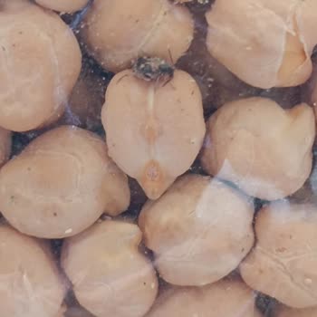 Aldığım Nohut Ambalajı Açmadan Böceklendi, İade Talebime Dönüş Yok