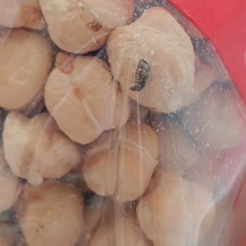 Aldığım Nohut Ambalajı Açmadan Böceklendi, İade Talebime Dönüş Yok