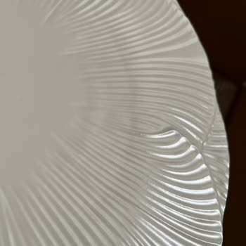 Porland Yemek Takımı Defolu Çıktı Müşteri Hizmetleri Çözüm Sunmadı