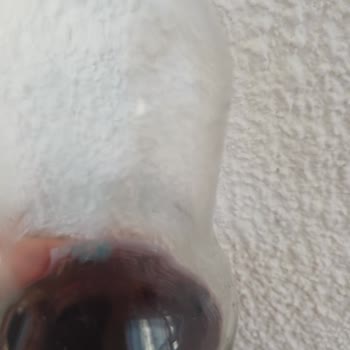 Gazlı İçecekte Yabancı Maddeyle Karşılaştım, Sağlığımız Tehlikede