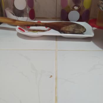 Aldığım Pirinçten Kurt Çıkması Tekrarlandı