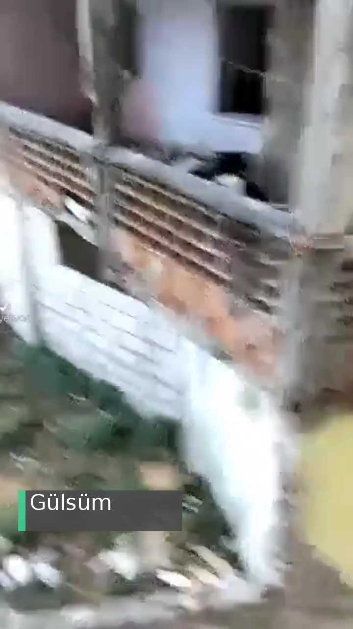 Bursa Yıldırım Belediyesi Eski Yıpranmış Daire Ev Ve Çok Köpekler Var Ev Çok Pis Kokuyor! videonun kapak resmi