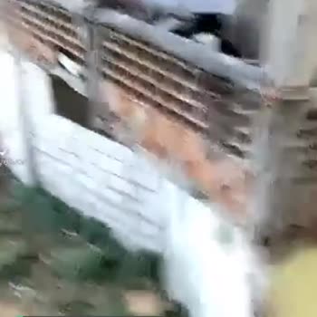 Bursa Yıldırım Belediyesi Eski Yıpranmış Daire Ev Ve Çok Köpekler Var Ev Çok Pis Kokuyor!