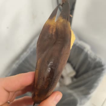 Buzdolabında Gıda Bozulması Ve Değişim Talebinin Reddedilmesi