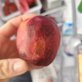 Buzdolabında Gıda Bozulması Ve Değişim Talebinin Reddedilmesi