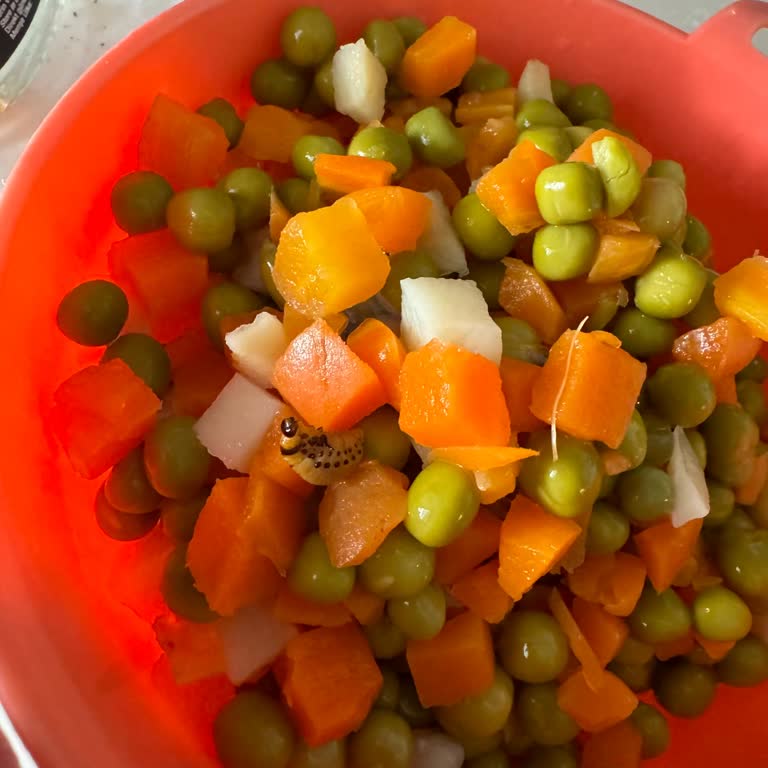 Yurdum Garnitürden Böcek Çıkması Güvenimi Sarstı