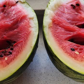 Getir Büyük'ten Alınan Karpuz Bozuk Çıktı, İade Talebim Reddedildi