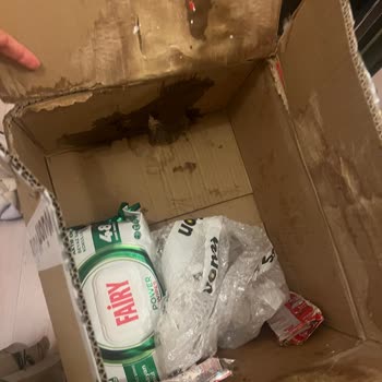 Siparişim Hem Geç Geldi Hem De Ürünler Hasarlıydı