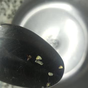 Dondurulmuş Mısır Paketinden Böcek Çıkması Şaşkınlığı