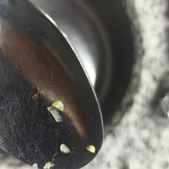 Dondurulmuş Mısır Paketinden Böcek Çıkması Şaşkınlığı