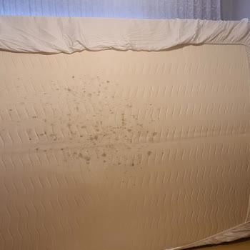 Yatsan King Koil Yatakta Küf Problemi Ve Yetersiz Servis Deneyimi