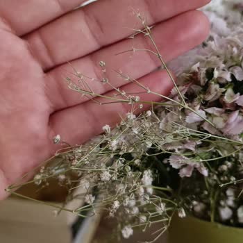 Sipariş Ettiğim Çiçek Görselden Farklı Ve Vazo Boyası Dökülmüş Şekilde Teslim Edildi