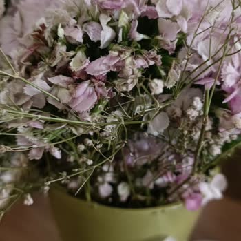 Sipariş Ettiğim Çiçek Görselden Farklı Ve Vazo Boyası Dökülmüş Şekilde Teslim Edildi