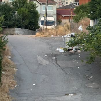 Çöpler Toplanmıyor Böcekler Arttı Mahallemiz İhmal Ediliyor