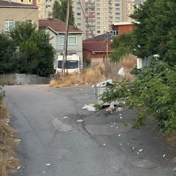 Çöpler Toplanmıyor Böcekler Arttı Mahallemiz İhmal Ediliyor