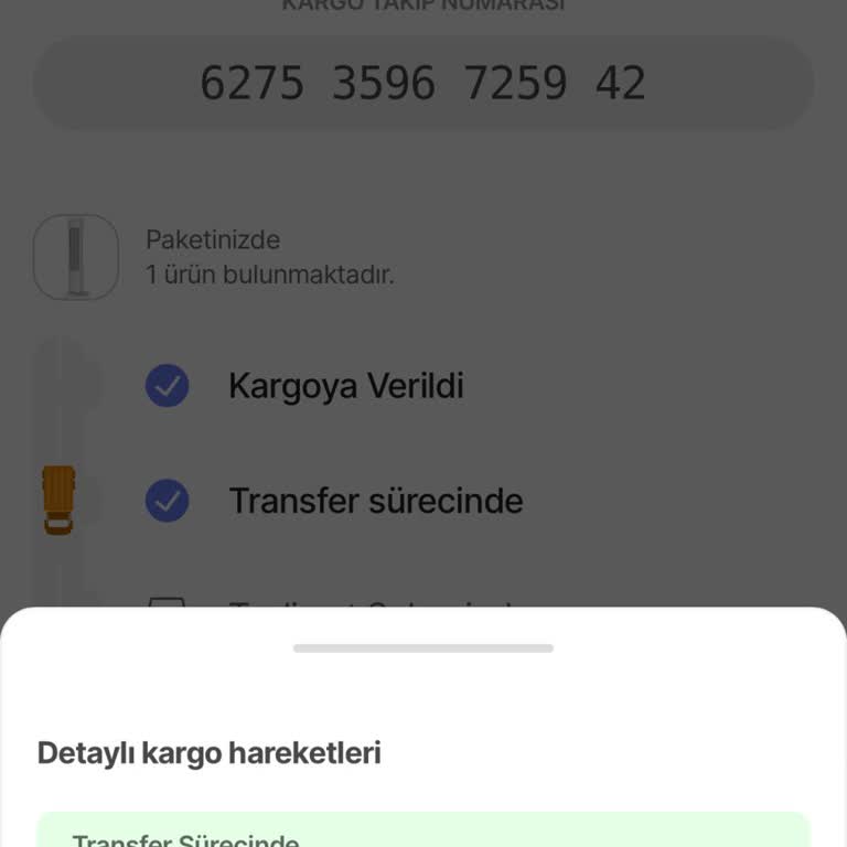 Teslim Edilmeyen Ürün Ve Ücret İadesi Endişesi