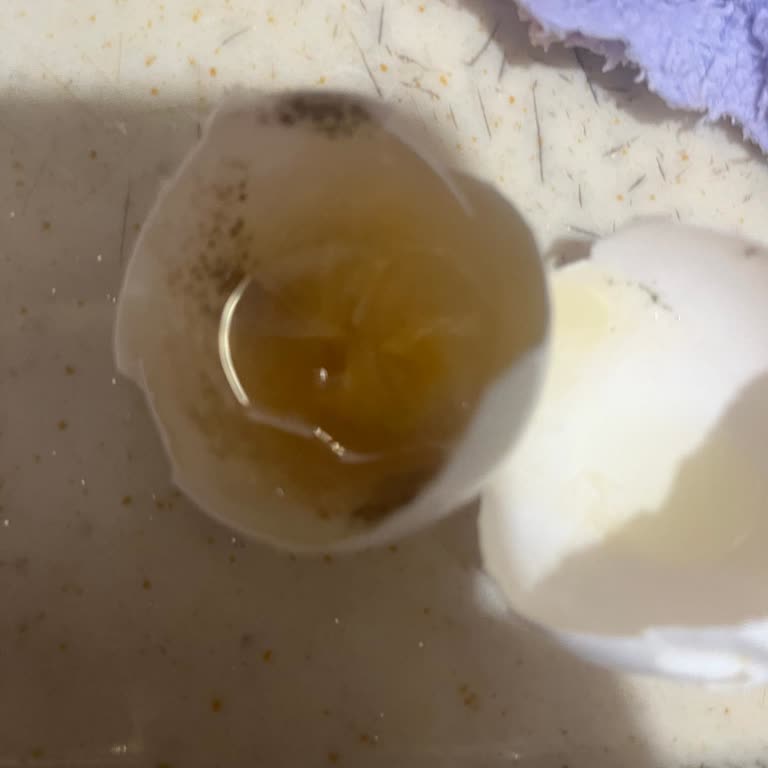 Migros'tan Bozuk Ve Tarihi Geçmiş Ürün Teslimatı: Müşteri Güvenliği Tehlikede