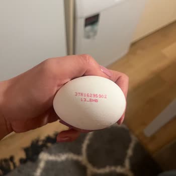 Son Kullanma Tarihi Olmayan Yumurta Hakkında Bilgi Talebi