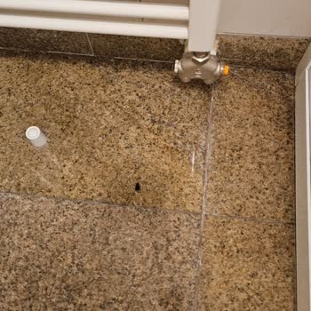 Balkanlar Turunda Tek Tip Yemek Ve Kötü Otel Deneyimi