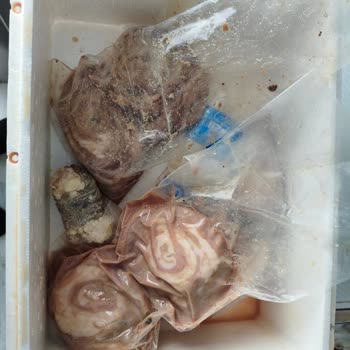 Kokorecizmir | İzmirkoko Bozulmuş Gelen Ürünler