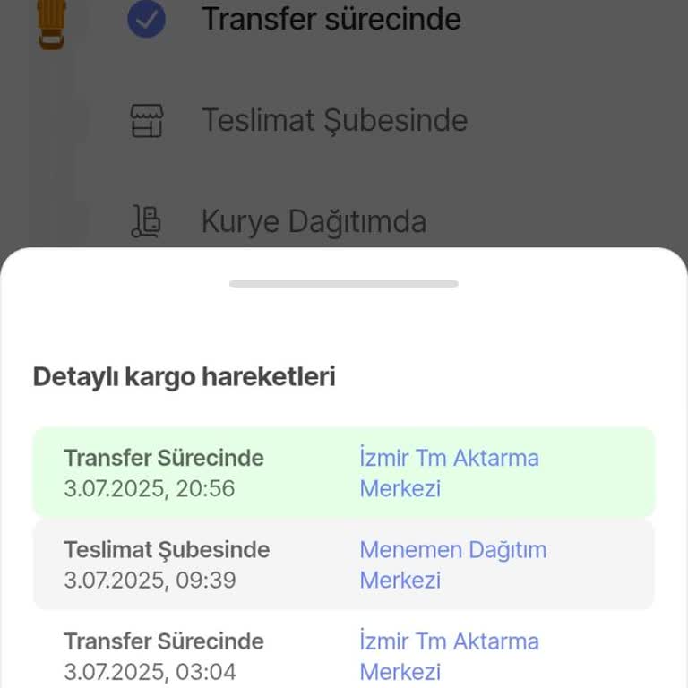 Teslimat Sürecindeki Belirsizlik Ve Gecikme Nedeniyle Yaşanan Hayal Kırıklığı