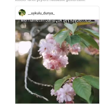 Instagram Hesabım Haksız Yere Kısıtlandı