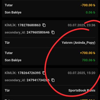 Yatırımlarım Görünmüyor, Bonuslar Hesaplanmıyor