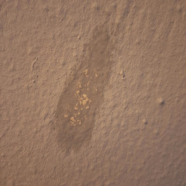 Aldığım Boya Duvardan Kolayca Silindi Mağdur Oldum