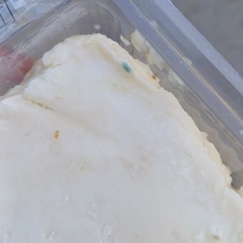 Son Kullanma Tarihi Geçmemiş Tatlı Bozuk Çıktı, Param Boşa Gitti