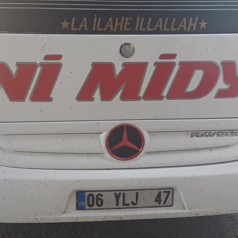 Gecikmeli Sefer, Servis Eksikliği Ve Arızalı Araç Deneyimi