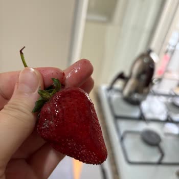 İade Sürecinin Uzaması Ve Ürünlerin Bozulması Nedeniyle Yaşanan Sorun