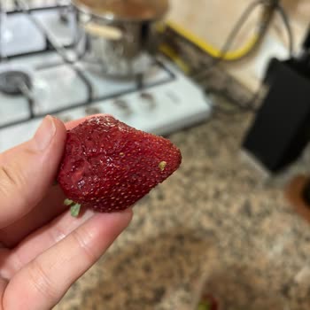 İade Sürecinin Uzaması Ve Ürünlerin Bozulması Nedeniyle Yaşanan Sorun