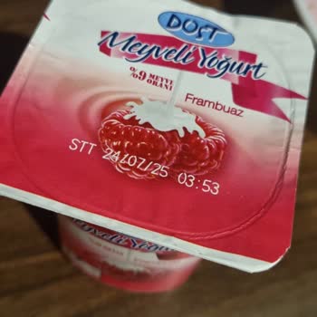 Dost Meyveli Yoğurttan Böcek Çıkması